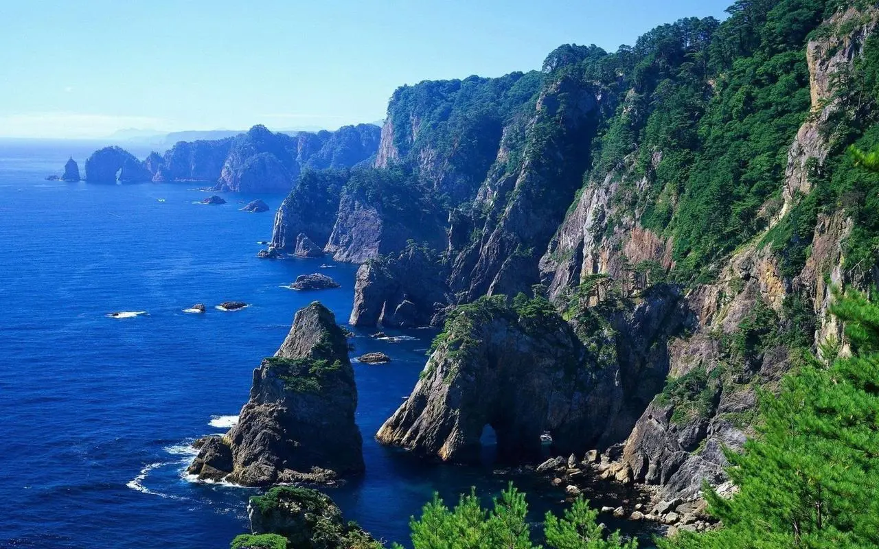 高性能独特先进